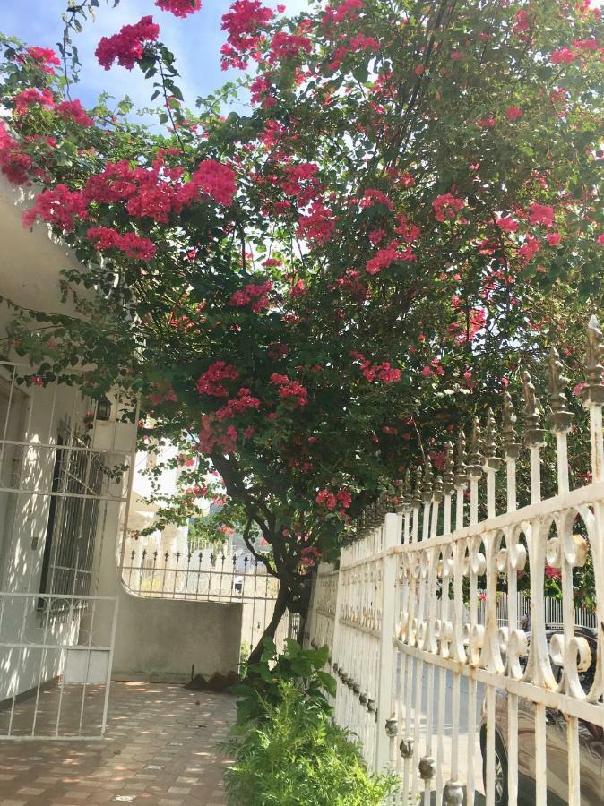 مبيت وإفطار Cartagena Alojamiento Arte Y Salud المظهر الخارجي الصورة